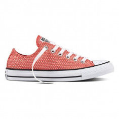 Incaltaminte Converse Chuck Taylor All Ox cod 555855C foto