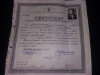 CERTIFICAT 1964 de absolvire a cursului de CULTURA GENERALA,Republica P.Romina