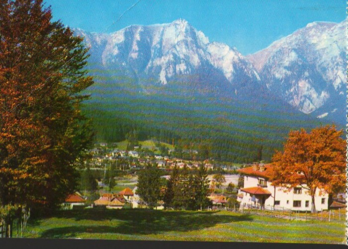 CPI (B9086) CARTE POSTALA - POIANA TAPULUI
