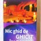&quot;MIC GHID DE GHICIT IN PALMA&quot;, Rene Brunin, 2014. Carte noua