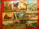 Set 27 Ilustrate in Relief - Fauna