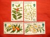 Serie Plante cu fructe 1978 Guernsey , 4 valori, Nestampilat
