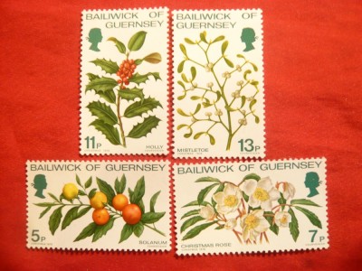 Serie Plante cu fructe 1978 Guernsey , 4 valori foto