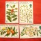 Serie Plante cu fructe 1978 Guernsey , 4 valori