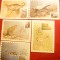 Set 5 Maxime - Fauna de Stepa URSS 1985