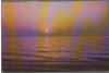 CPI (B9156) CARTE POSTALA - RASARIT DE SOARE LA MARE, Circulata, Fotografie