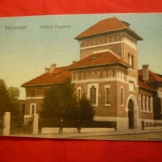 Ilustrata Targoviste - Palatul Postelor Ed.Libr.Univ.Gh.Stanescu