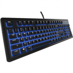 Tastatura SteelSeries APEX 100 USB, iluminata foto