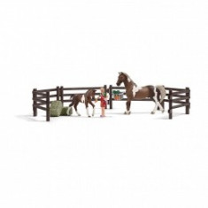 Set Joaca Cai - Schleich - 21049 foto