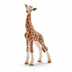 Pui Girafa Schleich - 14751 foto