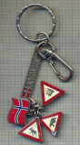 K 41 BRELOC PENTRU COLECTIONARI -NORWAY -NORVEGIA- ATENTIE, RENI, URSI POLARI,..