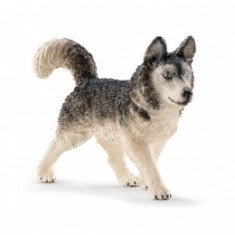 Figurina Schleich - Caine Husky - 16835 foto