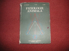 Fiziologie Animala - Gr. Strungaru, M. Pop, V. Hefco foto