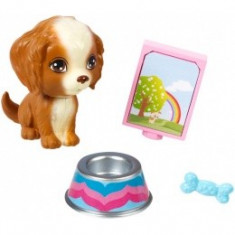 Set accesorii Barbie Mini Pet Pack - Mattel CFB50-CFB56 foto