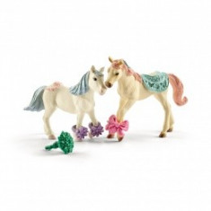 Figurine Schleich - Companion Star cu hrana pentru animale - 41452 foto