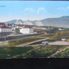 CARTE POSTALA-PREDEAL FOTO ADLER-NECIRCULATA