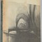 Karel Capek - Fabrica de absolut