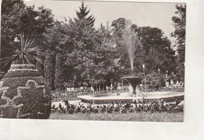 bnk cp Buzias - Vedere din parc - uzata foto