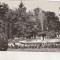 bnk cp Buzias - Vedere din parc - uzata
