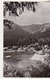 bnk cp Tusnad - Lacul Ciucas - circulata