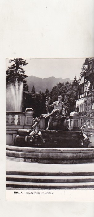 bnk cp Sinaia - Terasa Muzeului Peles - circulata