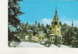 Bnk cp Sinaia - Muzeul Peles - necirculata, Printata