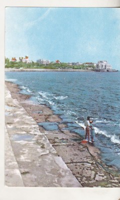 bnk cp Constanta - Pe malul marii - circulata foto