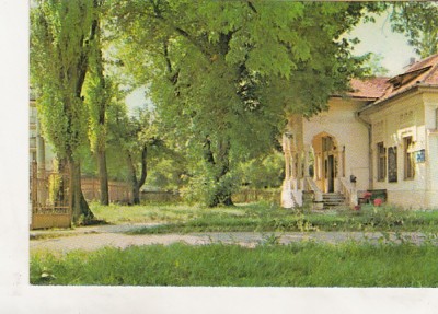bnk cp Bacau - Muzeul de stiintele naturii - necirculata foto