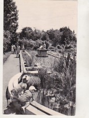 bnk cp Cluj - Gradina botanica - circulata