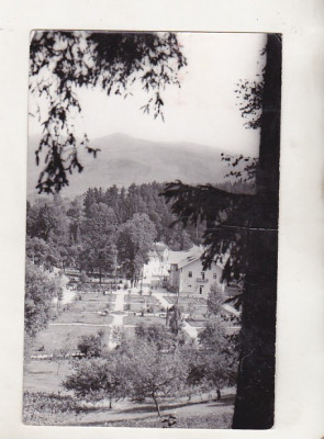 bnk cp Sangeorz Bai - Vedere din parc - uzata foto