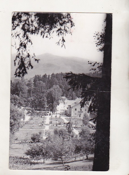 bnk cp Sangeorz Bai - Vedere din parc - uzata