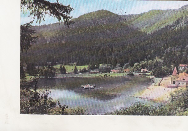 bnk cp Tusnad - Lacul Ciucas - circulata