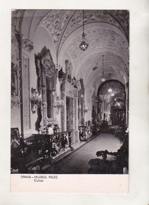 bnk cp Sinaia - Muzeul Peles - Culoar - necirculata foto