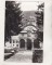 Foto  - 1