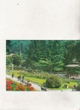 Bnk cp Slanic Moldova - Vedere din parc - circulata, Printata