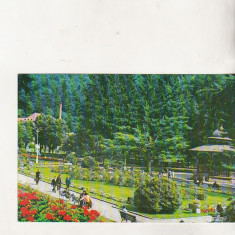 bnk cp Slanic Moldova - Vedere din parc - circulata