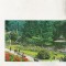 bnk cp Slanic Moldova - Vedere din parc - circulata