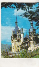 bnk cp Sinaia - Muzeul Peles - circulata - marca fixa