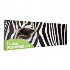 Tablou fosforescent? Zebra foto