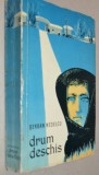 Un drum deschis - Serban Nedelcu