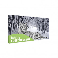 Tablou canvas fosforescent Tigru alb foto