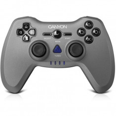 Gamepad wireless Canyon 3 in 1 CNS-GPW6 , fara Fir , PC , PlayStation 3 , PlayStation 2 , Gri foto