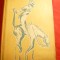 G.A.Burger - Aventurile Baronului Munchhausen -Ed.IIa 1960- Ed.Tineretului