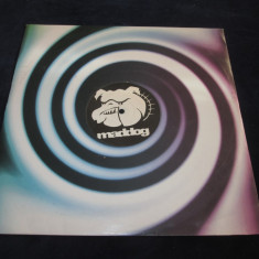 DJ Quicksilver - Bingo Bango _ vinyl,12" _ Maddog (Germania)