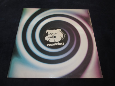 DJ Quicksilver - Bingo Bango _ vinyl,12&amp;quot; _ Maddog (Germania) foto