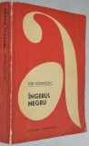 Ion Ochinciuc - Ingerul Negru