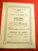 Diploma participare -Primul Salon AAPA 1976-Mentiune Pictura,semnat A.Margineanu
