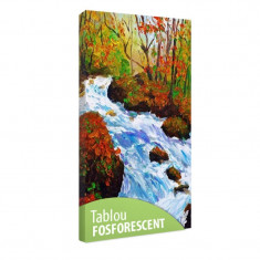 Tablou fosforescent Parau foto