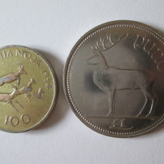 Lot 2 monede colectie:100 Shilingi Tanzania 1994+1 Pound Irlanda 2000