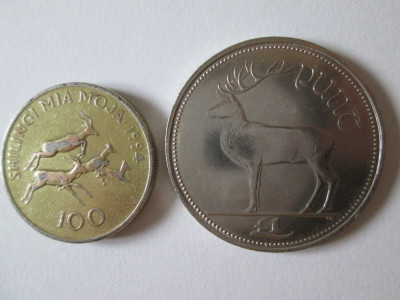 Lot 2 monede colectie:100 Shilingi Tanzania 1994+1 Pound Irlanda 2000 foto